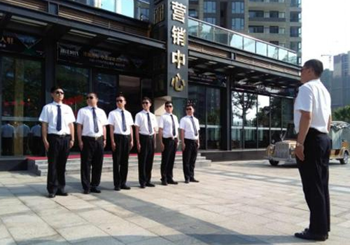 麻豆亚洲视频常駐保安服務