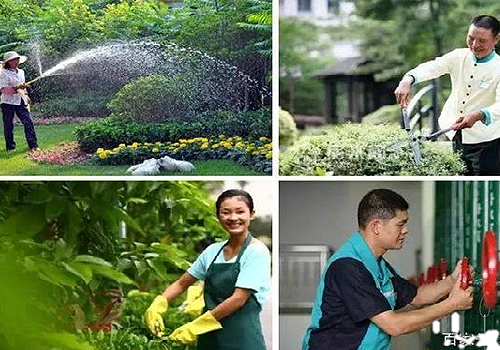 老司机麻豆免费视频物業管理