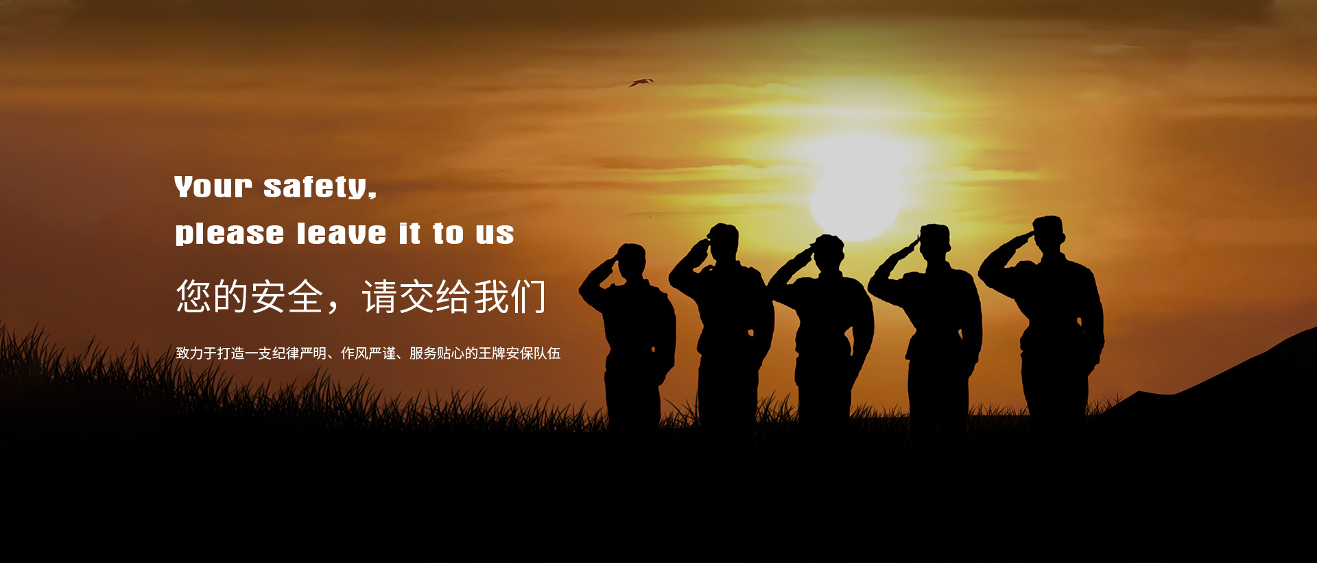 老司机麻豆免费视频